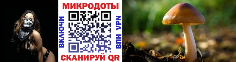 наркотики  Харовск  Галлюциногенные грибы GOLDEN TEACHER 